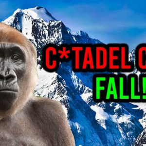 AMC STOCK: C*TADEL IS NOT TOO BIG TO FALL ...