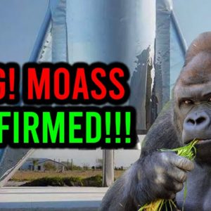 AMC STOCK: FIDELITY JUST CONFIRMED THE MOASS!!