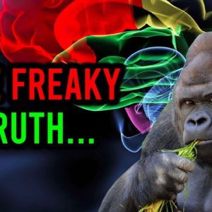 AMC STOCK: THE FREAKY TRUTH!