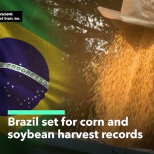 Brazil Set for Record Corn and Soybean Crops