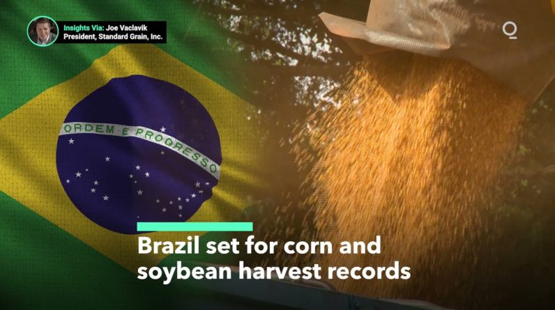 Brazil Set for Record Corn and Soybean Crops