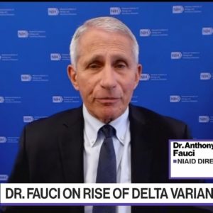 Fauci: 'Practically Pleading' With People to Get Vaccinated
