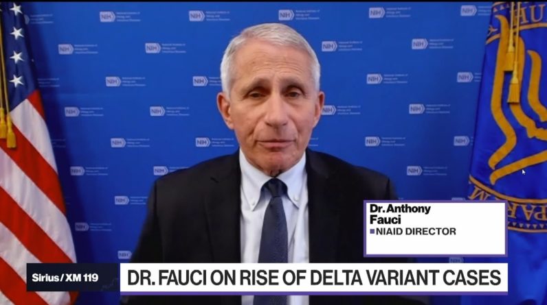 Fauci: 'Practically Pleading' With People to Get Vaccinated