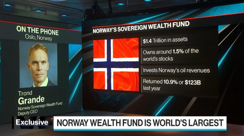 Norway Sovereign Wealth Fund Not Looking at Bitcoin: Deputy CEO