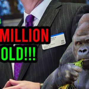 OMG!! $5 MILLION SOLD!! || AMC STOCK UPDATE!!