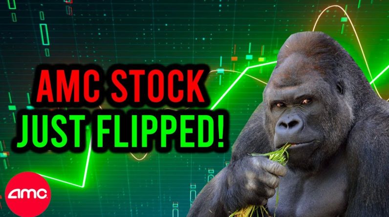 OMG!! AMC STOCK JUST FLIPPED!!