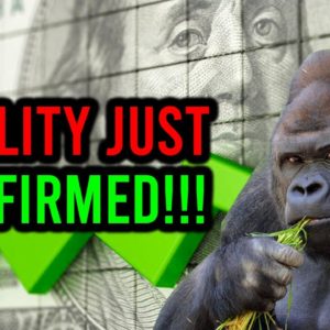 OMG! FIDELITY JUST CONFIRMED THERE ARE NO REAL SHARES OF AMC STOCK LEFT!
