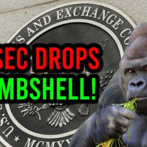 OMG!! THE SEC GIVES A HUGE UPDATE ON AMC STOCK!!
