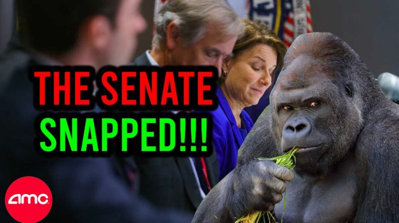 OMG!! THE SENATE JUST SNAPPED ON AMC STOCK!!