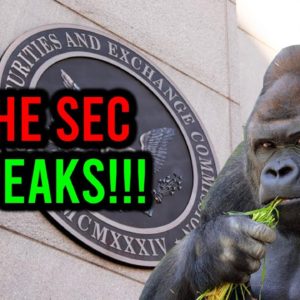 SEC: THINGS ARE ABOUT TO GET CRAZY WITH AMC STOCK!!