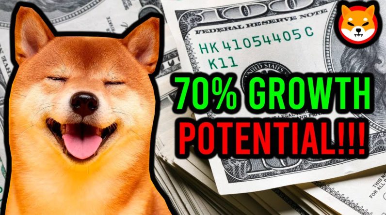 SHIBA INU TOKEN: MASSIVE CATALYST COULD CAUSE A 70% RALLY!!