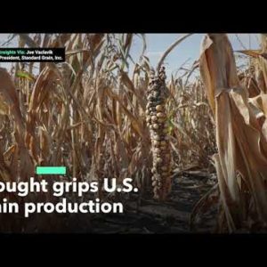 What Is the Impact of Drought on U.S. Crops?