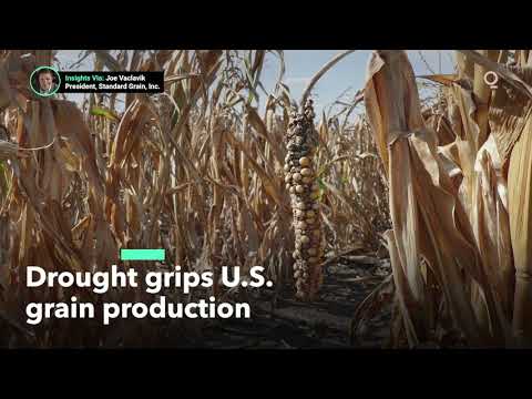 What Is the Impact of Drought on U.S. Crops?