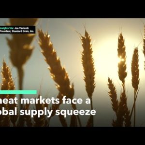 Wheat Markets Face Global Supply Squeeze