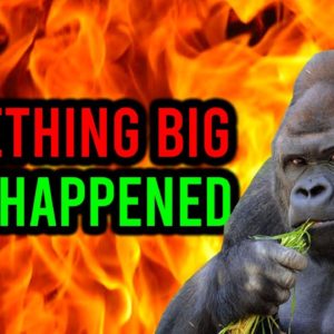 AMC STOCK: GOLDMAN SACHS JUST DID SOMETHING BIG!!!