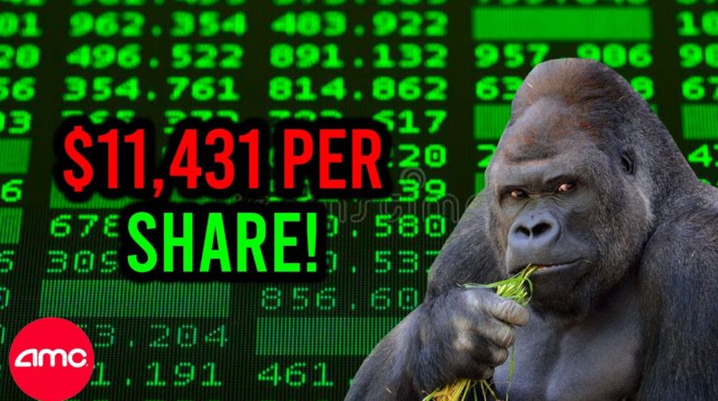 AMC STOCK: REAL PRICE PER SHARE COULD BE $11,431!