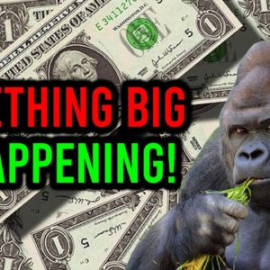AMC STOCK: SOMETHING BIG IS GOING ON ...