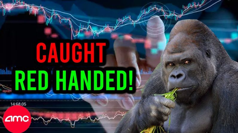 AMC STOCK: THEY JUST GOT CAUGHT RED HANDED!!