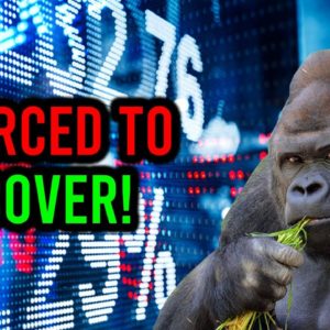 AMC STOCK: THIS IS WHY IT'S OVER APES!!