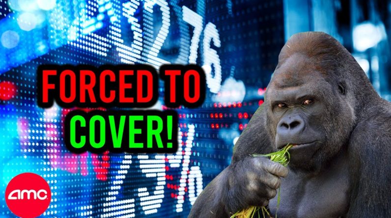 AMC STOCK: THIS IS WHY IT'S OVER APES!!
