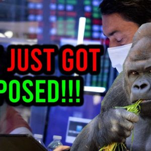 AMC STOCK: WHAT JUST HAPPENED!