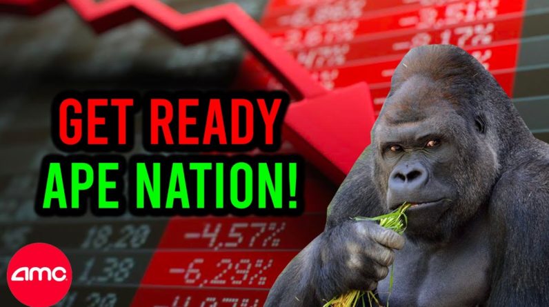 AMC STOCK: IT'S ABOUT TO GO DOWN APE NATION!
