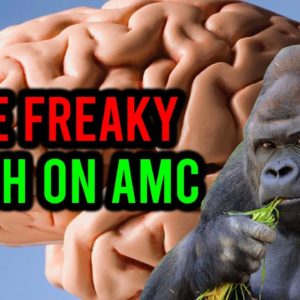 AMC STOCK: THE TRUTH NO ONE IS TALKING ABOUT ...
