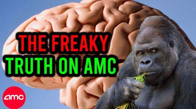 AMC STOCK: THE TRUTH NO ONE IS TALKING ABOUT ...
