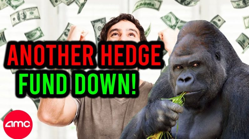 AMC STOCK: THEY JUST LOST $2.7 BILLION ... ANOTHER HEDGE FUND GOES DOWN!