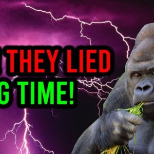 AMC STOCK: THEY LIED TO US ... WATCH OUT APE NATION!