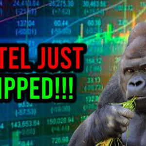 BREAKING: FINTEL JUST DROPPED A BOMBSHELL ON AMC STOCK!