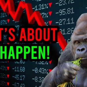? AMC STOCK: WHATS ABOUT TO HAPPEN AND WHY ...