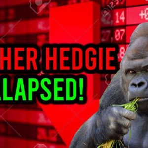 AMC STOCK: ANOTHER MAJOR HEDGE FUND JUST WENT DOWN .. NEXT UP C*TADEL!