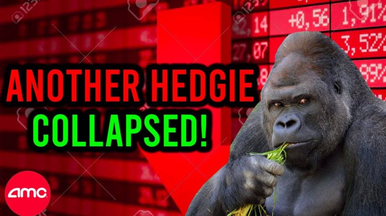 AMC STOCK: ANOTHER MAJOR HEDGE FUND JUST WENT DOWN .. NEXT UP C*TADEL!