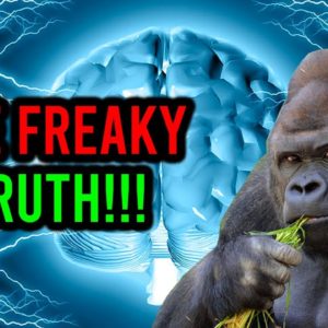 AMC STOCK: THE FREAKY TRUTH NO ONE IS TALKING ABOUT!