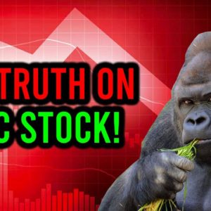 AMC STOCK: THE TRUTH ON PRICE MOVEMENT ... WHY WE WENT DOWN!