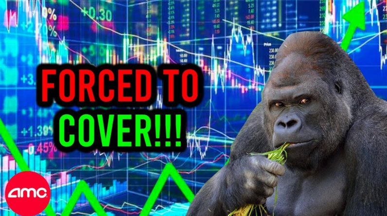 AMC STOCK: THEY ARE OFFICIALLY FORCED TO COVER!