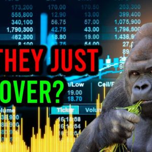 AMC STOCK: THEY JUST COVERED?!