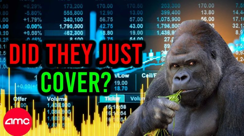 AMC STOCK: THEY JUST COVERED?!