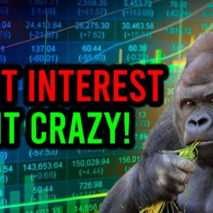 ORTEX: SHORT INTEREST JUST EXPLODED FOR AMC STOCK!