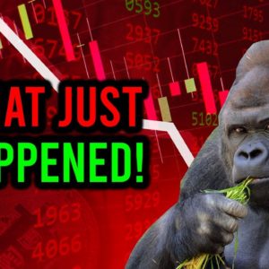 AMC STOCK: SOMETHING STRANGE IS HAPPENING ...