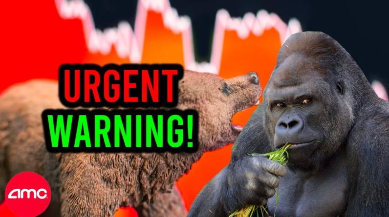 AMC STOCK: STOP DOING THIS NOW ... URGENT WARNING!