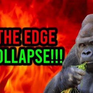 AMC STOCK: ANOTHER HEDGE FUND IS GOING DOWN + THE FINANCIAL COLLAPSE IS STARTING!