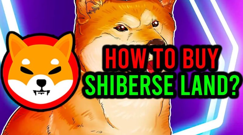 SHIBA INU COIN: HOW TO BUY LAND IN THE SHIBERSE! SHIB PRICE PREDICTIONS AND ANALYSIS