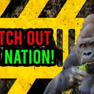 ? HUGE WARNING FOR AMC STOCK HOLDERS! WATCH OUT APE NATION!