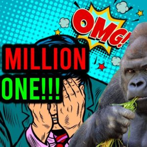 ? AMC STOCK: $171 MILLION TAKEN FROM RETAIL ... WHAT JUST HAPPENED!