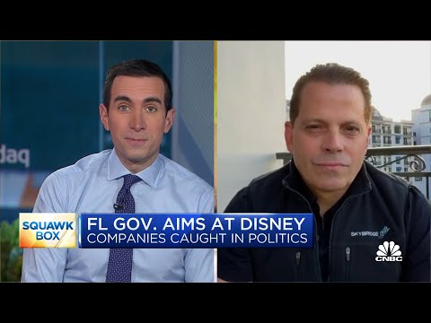 Anthony Scaramucci on Florida Gov. DeSantis taking aim at Disney: 'This is a huge mistake'