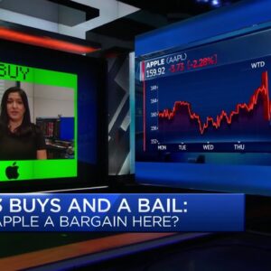Gina Sanchez's three buys: Apple, Amazon, Visa