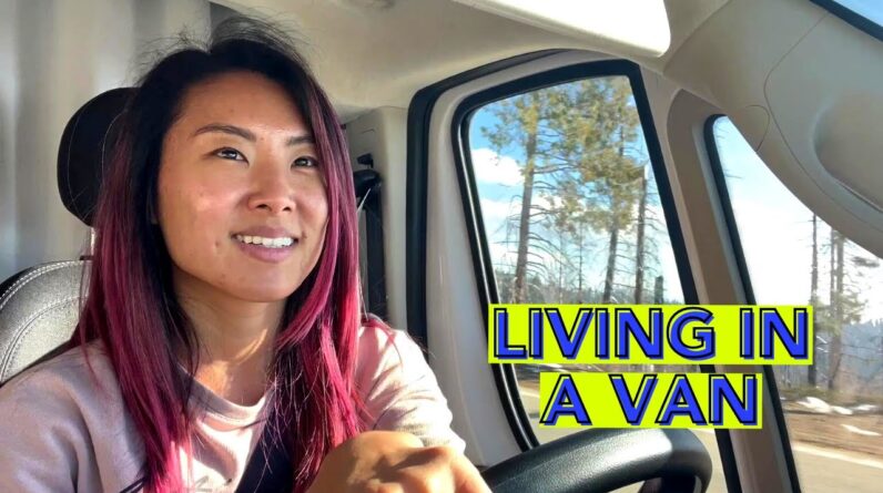 Vanlife (Sequoia National Park Edition)