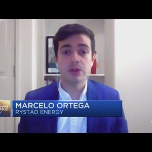 Marcelo Ortega: 64% of to-be-installed solar panels are going to be delayed or cancelled